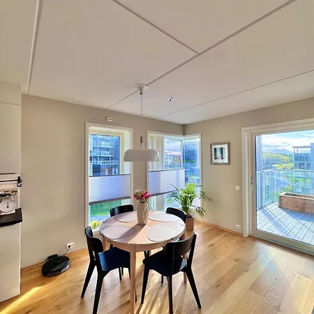 Spacious In With Fireplace, Balcony And Mountain Views דירה טרומסה