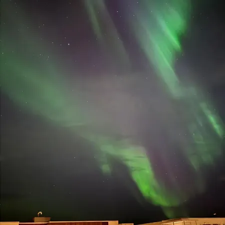 Eksklusiv 3-roms I *