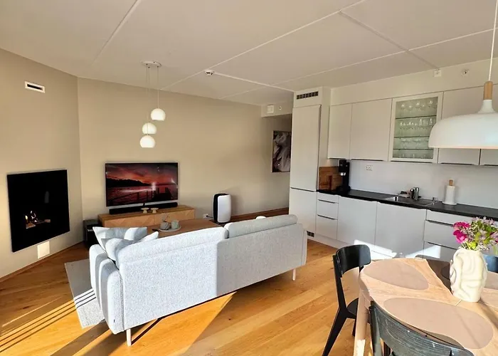 Eksklusiv 3-roms I דירה *